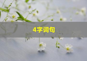 4字词句