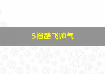 5挡路飞帅气