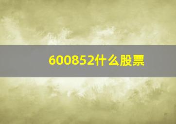 600852什么股票