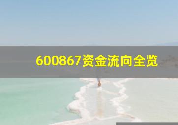 600867资金流向全览