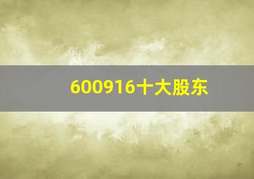 600916十大股东