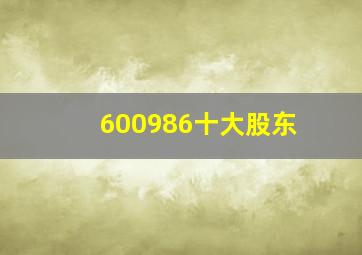 600986十大股东