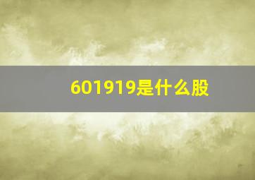 601919是什么股