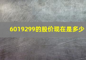 6019299的股价现在是多少