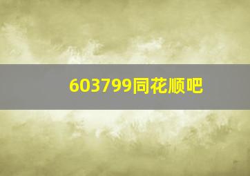 603799同花顺吧