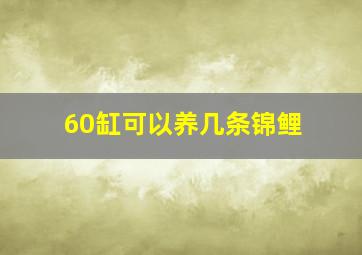 60缸可以养几条锦鲤