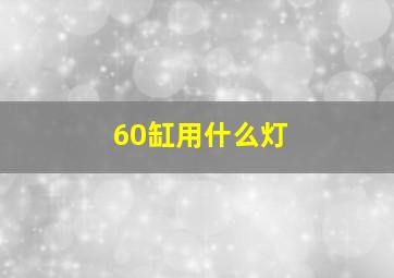 60缸用什么灯