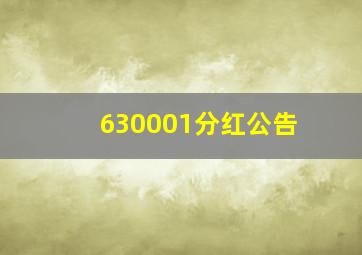 630001分红公告