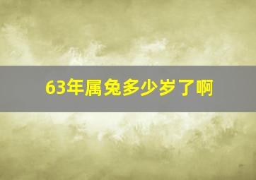 63年属兔多少岁了啊