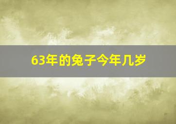 63年的兔子今年几岁