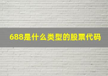 688是什么类型的股票代码