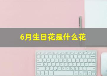 6月生日花是什么花