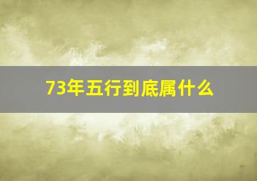 73年五行到底属什么