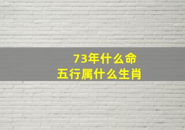 73年什么命五行属什么生肖