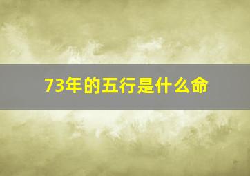 73年的五行是什么命