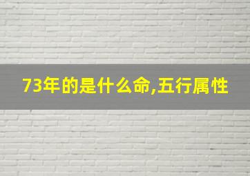 73年的是什么命,五行属性