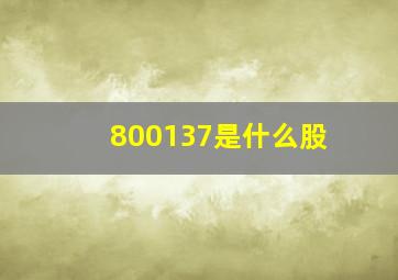 800137是什么股