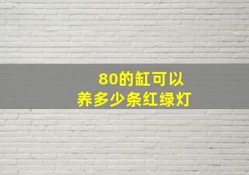 80的缸可以养多少条红绿灯