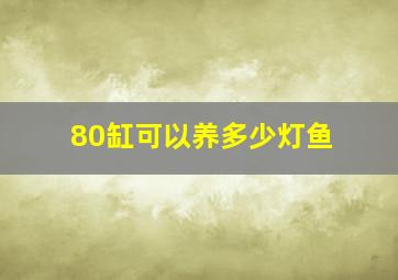 80缸可以养多少灯鱼