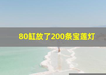 80缸放了200条宝莲灯