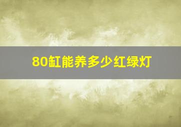 80缸能养多少红绿灯