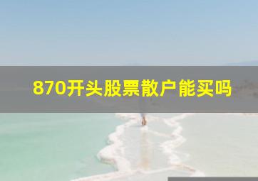 870开头股票散户能买吗