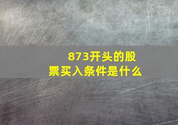 873开头的股票买入条件是什么