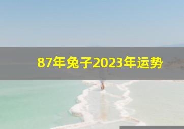 87年兔子2023年运势