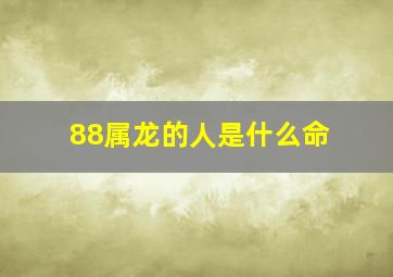 88属龙的人是什么命