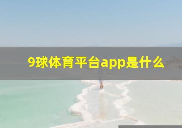 9球体育平台app是什么