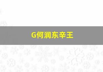 G何润东辛王