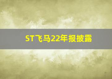 ST飞马22年报披露