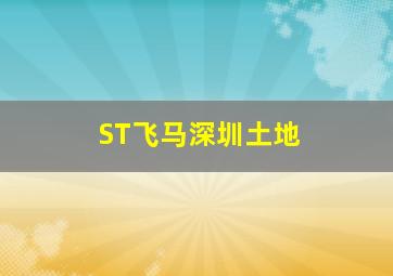 ST飞马深圳土地