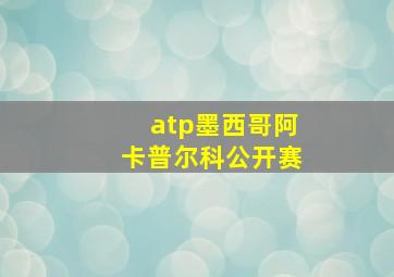 atp墨西哥阿卡普尔科公开赛