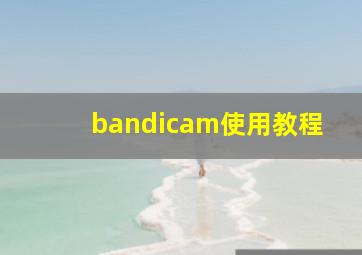 bandicam使用教程