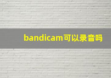 bandicam可以录音吗