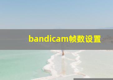 bandicam帧数设置