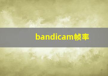 bandicam帧率