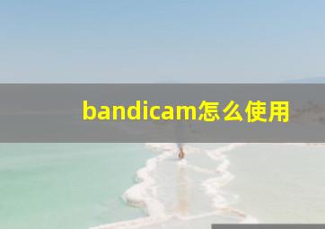 bandicam怎么使用