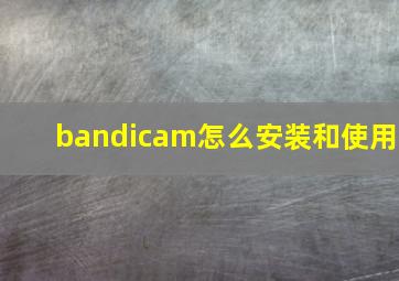 bandicam怎么安装和使用