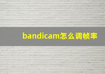 bandicam怎么调帧率