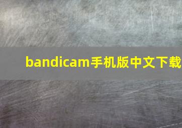 bandicam手机版中文下载