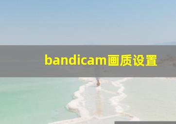 bandicam画质设置