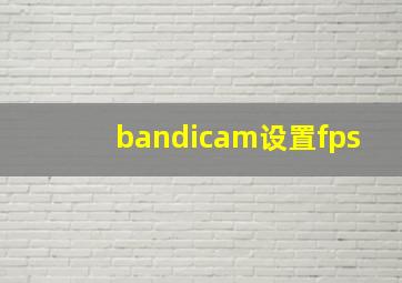 bandicam设置fps