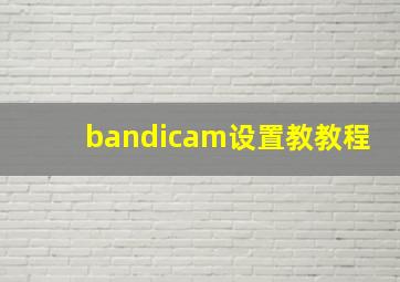 bandicam设置教教程