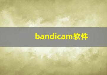 bandicam软件