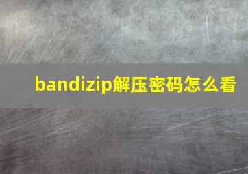 bandizip解压密码怎么看