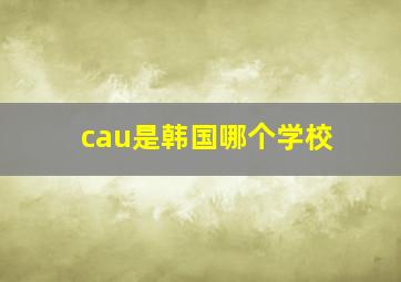 cau是韩国哪个学校