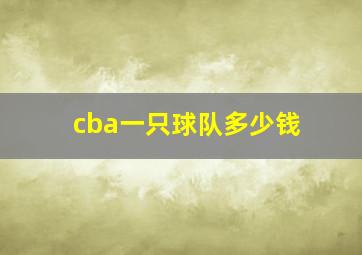 cba一只球队多少钱