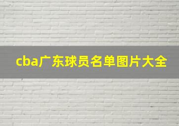 cba广东球员名单图片大全